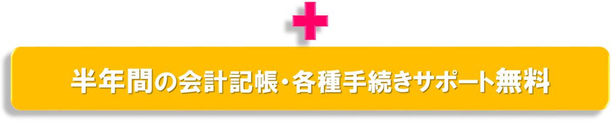 1年間の会計記帳・決算・各種届出手続完全サポート